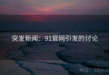 突发新闻：91官网引发的讨论