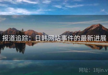 报道追踪：日韩网站事件的最新进展