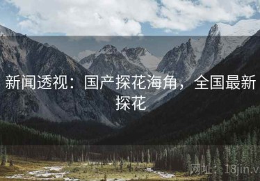 新闻透视：国产探花海角，全国最新探花