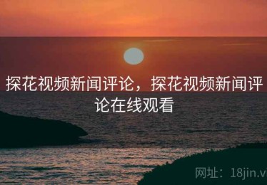 探花视频新闻评论，探花视频新闻评论在线观看