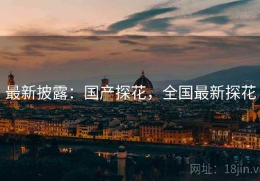 最新披露：国产探花，全国最新探花