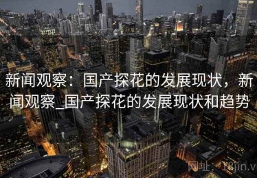 新闻观察：国产探花的发展现状，新闻观察_国产探花的发展现状和趋势