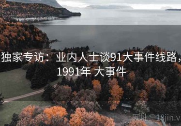 独家专访：业内人士谈91大事件线路，1991年 大事件
