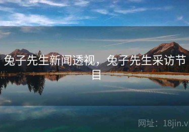 兔子先生新闻透视，兔子先生采访节目