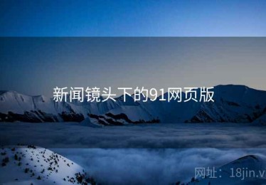 新闻镜头下的91网页版