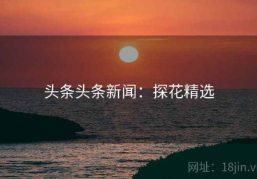 头条头条新闻：探花精选