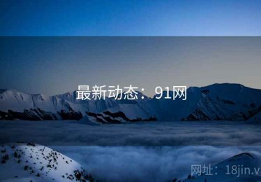 最新动态：91网