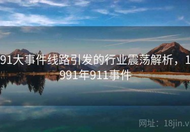 91大事件线路引发的行业震荡解析，1991年911事件