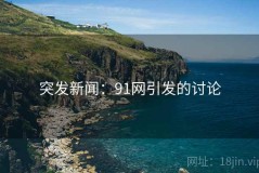 突发新闻：91网引发的讨论
