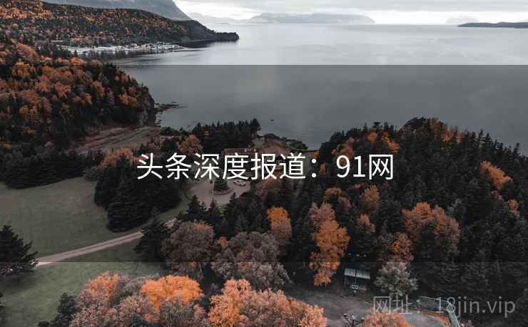 头条深度报道：91网