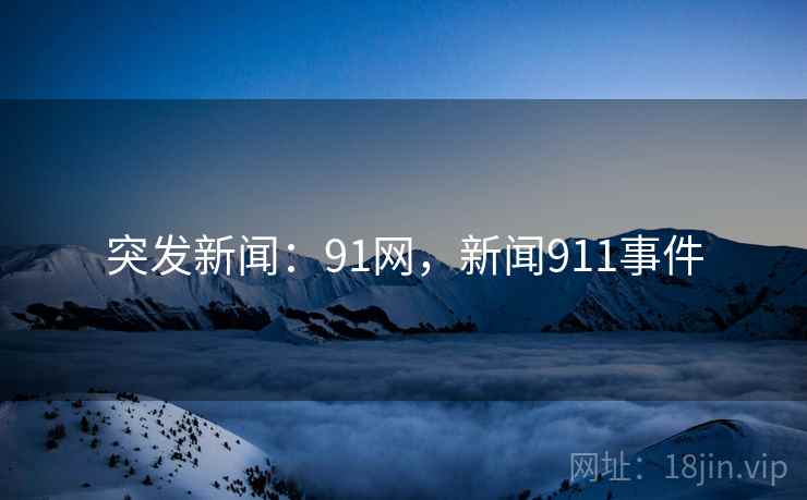 突发新闻：91网，新闻911事件