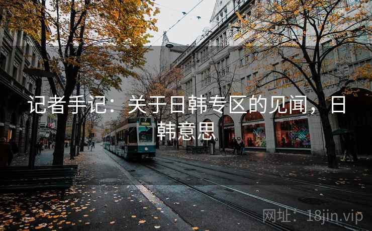 记者手记：关于日韩专区的见闻，日韩意思