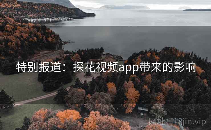 特别报道：探花视频app带来的影响