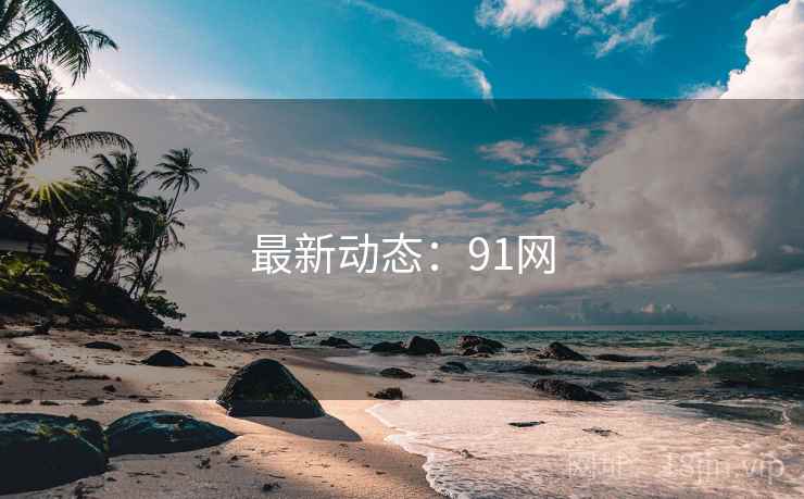 最新动态：91网
