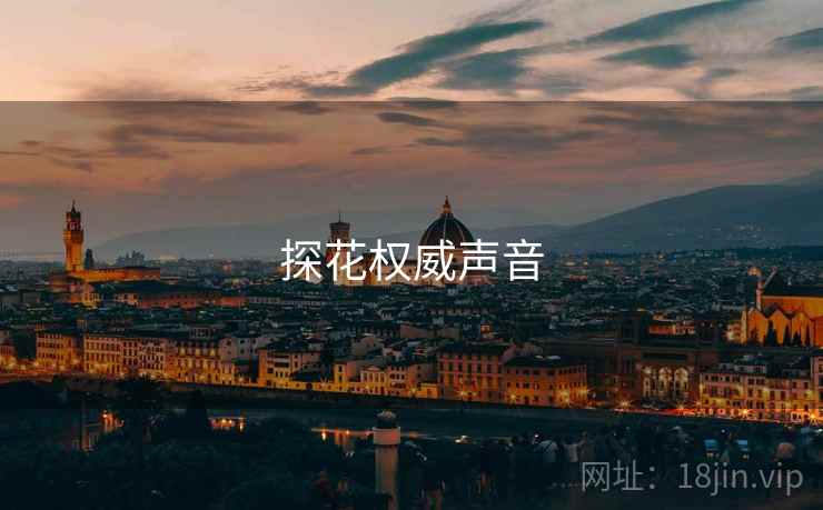 探花权威声音