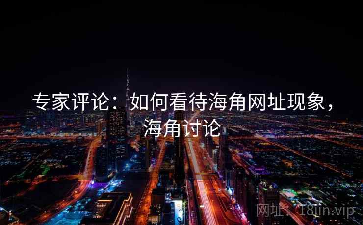 专家评论：如何看待海角网址现象，海角讨论