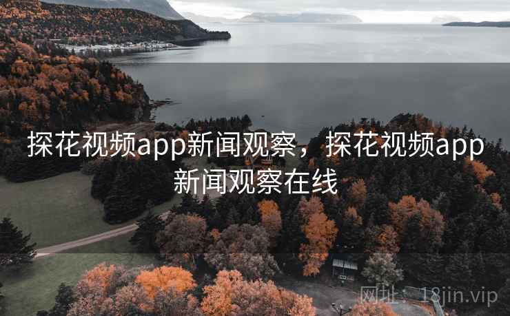 探花视频app新闻观察，探花视频app新闻观察在线